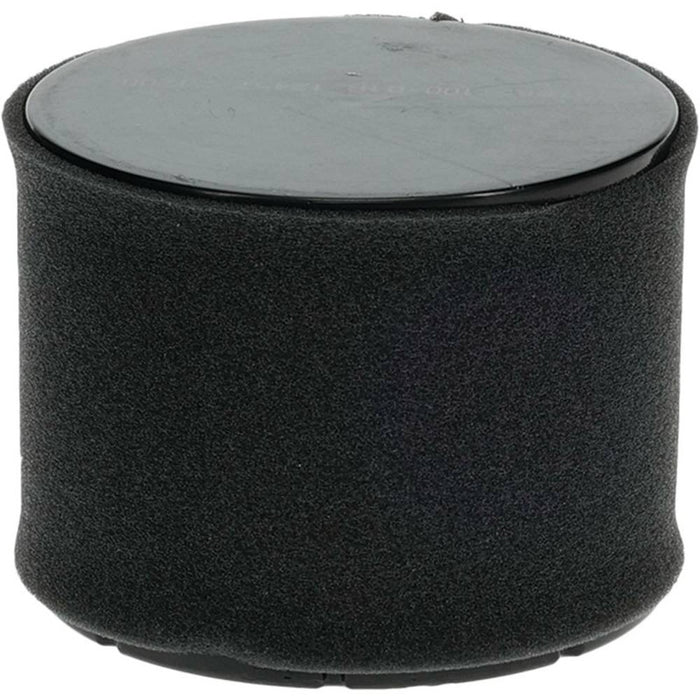 86-84 Air Filter Combo Kawasaki 11029-0049