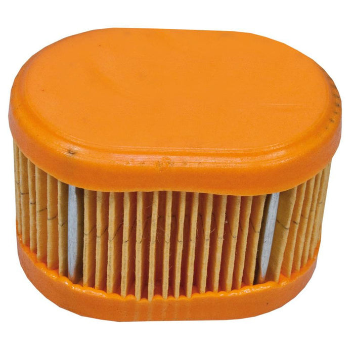 86-77 Air Filter Briggs & Stratton 790166
